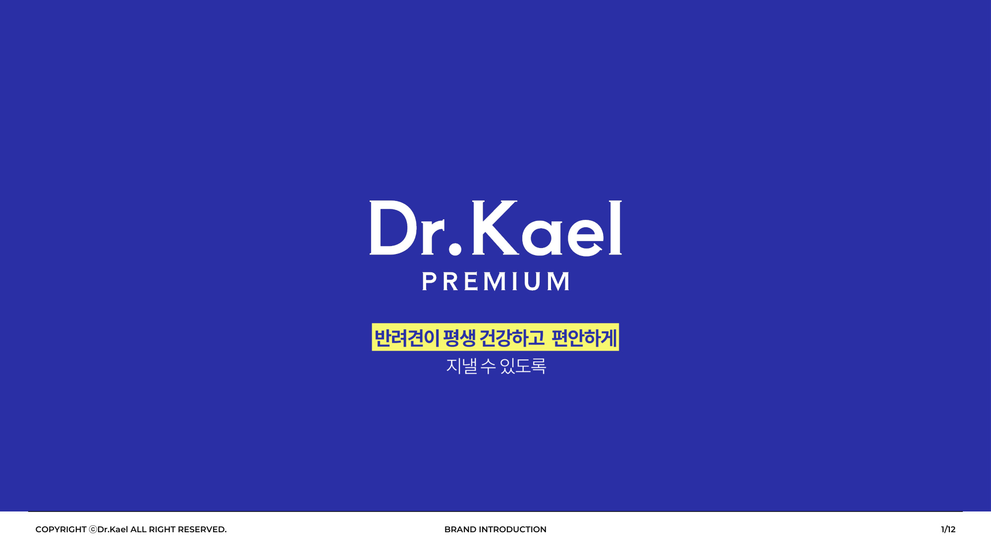 닥터카엘 회사소개서 표지